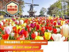 荷蘭花展 德國、荷蘭、比利時、法國10 天