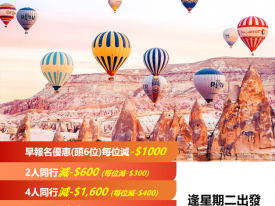 土耳其皇牌五星9天嘆世界