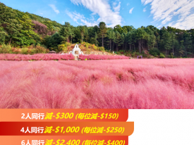 韓國首爾、鐵原5天團